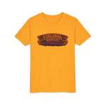 Virginia Haunted City Youth Tee — Halloween Pumpkin Ghosts Tee