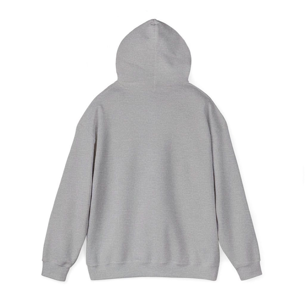 Sacramento Haunted City Hoodie — Spooky Vintage Ghost Town Graphic