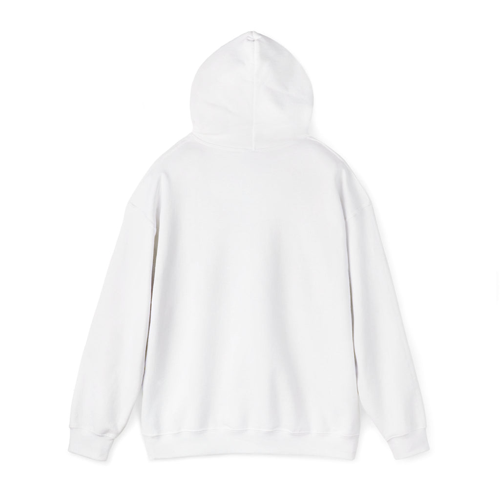 Houston Haunted City Hoodie — Vintage Spooky Ghost Design